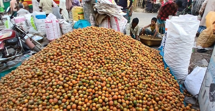 লক্ষ্মীপুরের চন্দ্রগঞ্জে সুপারির বিশাল বাজার