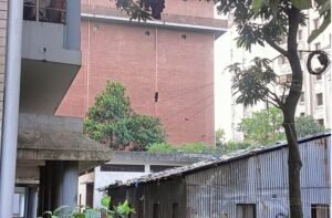 হলের ৯তলা থেকে লাফ দিয়েও বেঁচে গেল ঢাবি শিক্ষার্থী, শঙ্কামুক্ত